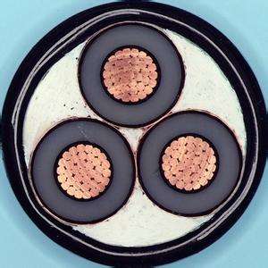 ����max(�й���)���޹�˾����