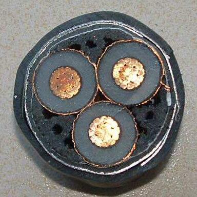 ����max(�й���)���޹�˾����