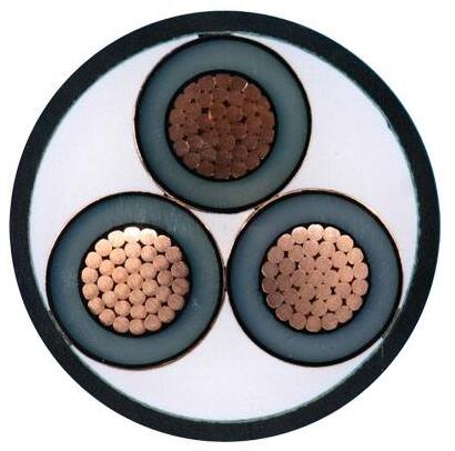 ����max(�й���)���޹�˾����