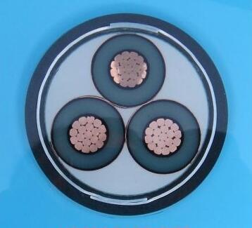 ����max(�й���)���޹�˾����