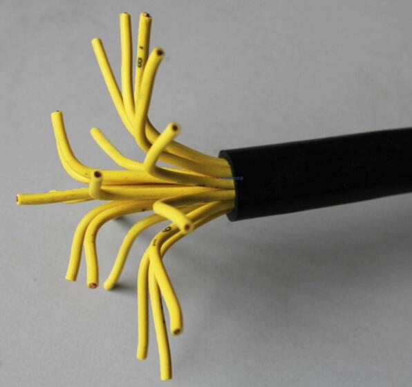 ����max(�й���)���޹�˾����