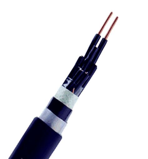 ����max(�й���)���޹�˾����