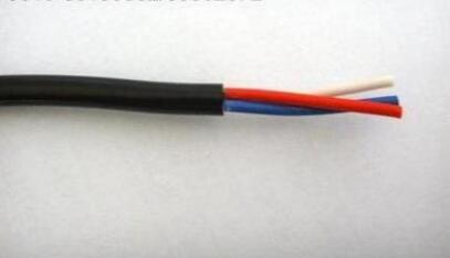 ����max(�й���)���޹�˾����