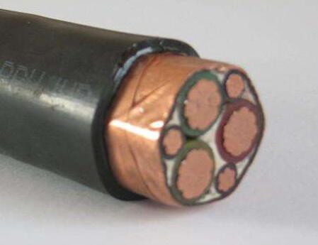 ����max(�й���)���޹�˾����