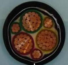 ����max(�й���)���޹�˾����