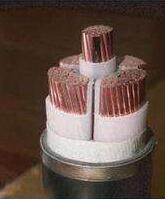 ����max(�й���)���޹�˾����