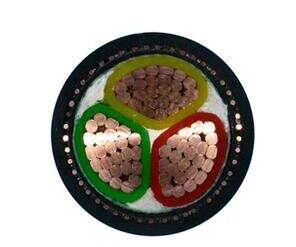 ����max(�й���)���޹�˾����