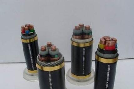 ����max(�й���)���޹�˾����