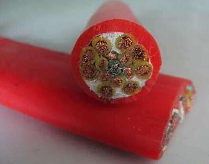 ����max(�й���)���޹�˾����