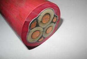 ����max(�й���)���޹�˾����