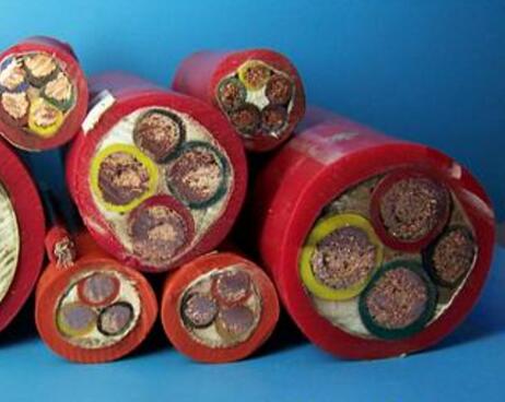 ����max(�й���)���޹�˾����