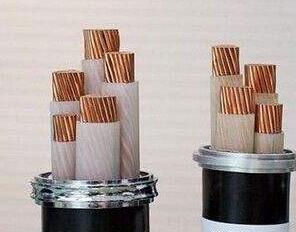 ����max(�й���)���޹�˾����