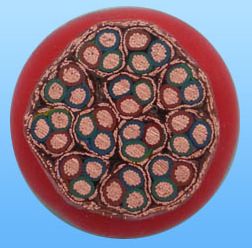 ����max(�й���)���޹�˾����