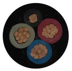 ����max(�й���)���޹�˾����