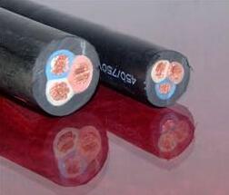 ����max(�й���)���޹�˾����