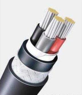 ����max(�й���)���޹�˾����