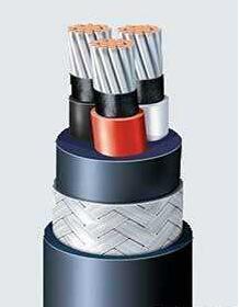 ����max(�й���)���޹�˾����