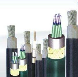 ����max(�й���)���޹�˾����