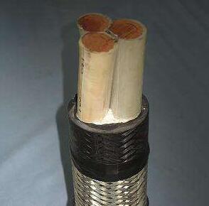 ����max(�й���)���޹�˾����