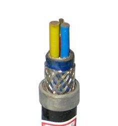 ����max(�й���)���޹�˾����