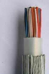 ����max(�й���)���޹�˾����