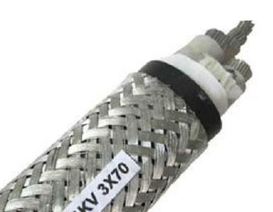 ����max(�й���)���޹�˾����