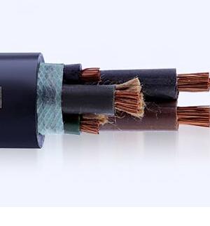 ����max(�й���)���޹�˾����