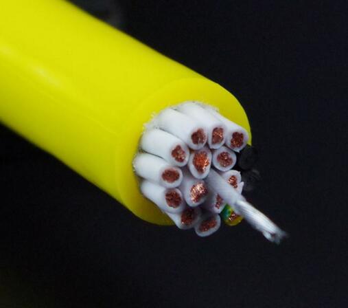 ����max(�й���)���޹�˾����