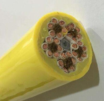 ����max(�й���)���޹�˾����