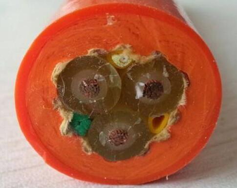 ����max(�й���)���޹�˾����