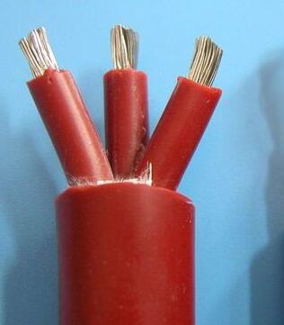 ����max(�й���)���޹�˾����