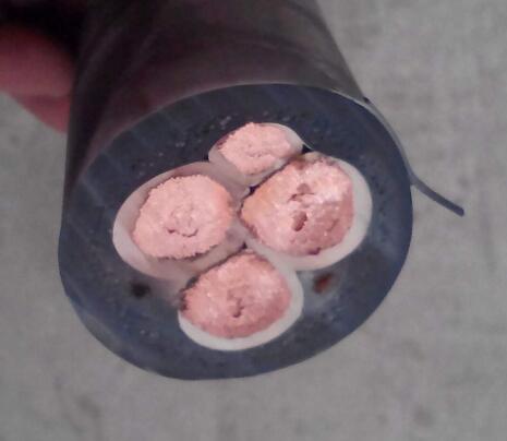 ����max(�й���)���޹�˾����