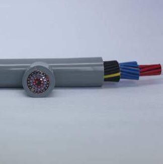 ����max(�й���)���޹�˾����