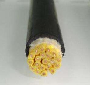 ����max(�й���)���޹�˾����