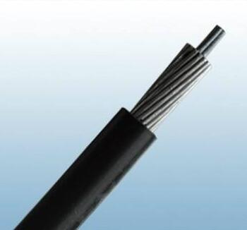 ����max(�й���)���޹�˾����