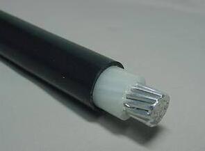 ����max(�й���)���޹�˾����