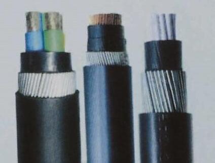 ����max(�й���)���޹�˾����