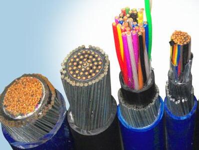 ����max(�й���)���޹�˾����