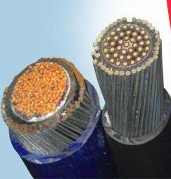 ����max(�й���)���޹�˾����