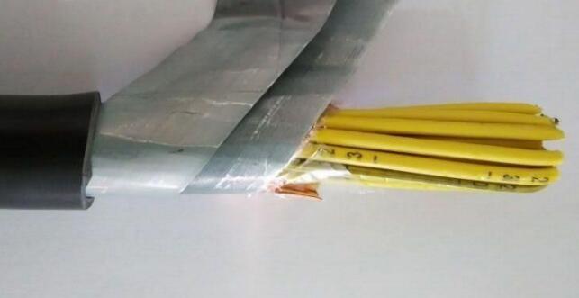 狗万·max(中国游)有限公司官网