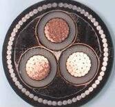 ����max(�й���)���޹�˾����