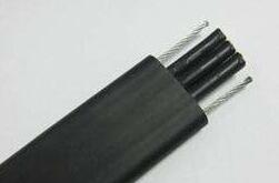 ����max(�й���)���޹�˾����