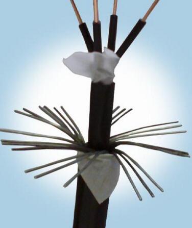 狗万·max(中国游)有限公司官网