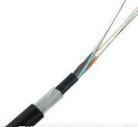 ����max(�й���)���޹�˾����