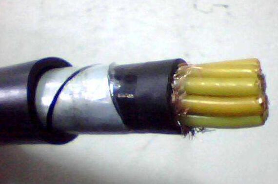 狗万·max(中国游)有限公司官网