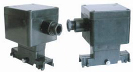 ����max(�й���)���޹�˾����