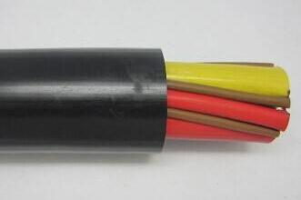 ����max(�й���)���޹�˾����