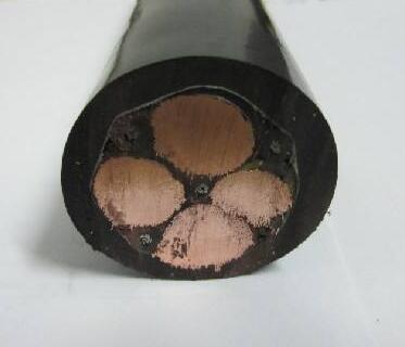 ����max(�й���)���޹�˾����