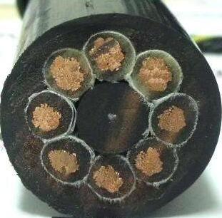 ����max(�й���)���޹�˾����