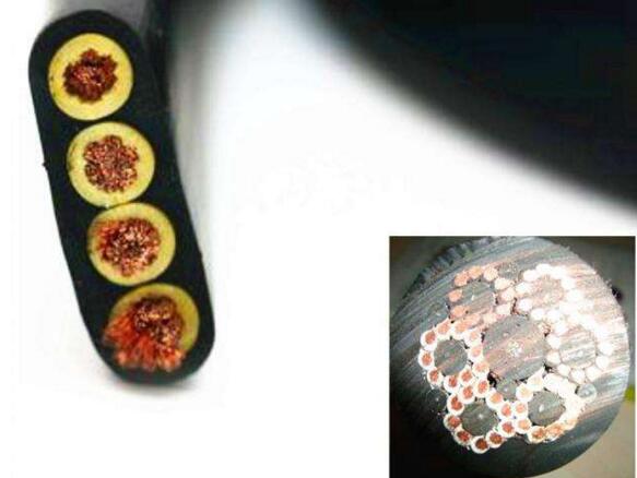 狗万·max(中国游)有限公司官网